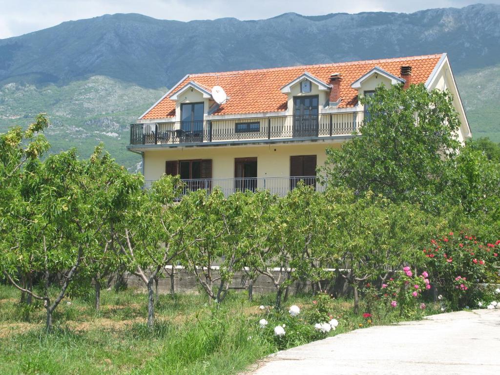 Apartments Ivetic Kotor Exteriör bild